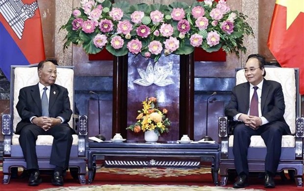 Presidente vietnamita recibe a titular legislativo camboyano hinh anh 1