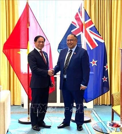 Presidente del Parlamento neozelandes valora nexos con Vietnam hinh anh 2