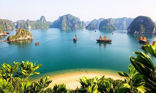 Vietnam entre los 10 destinos preferidos de turistas australianos hinh anh 1