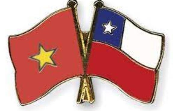 Vietnam, un socio confiable de Chile hinh anh 1