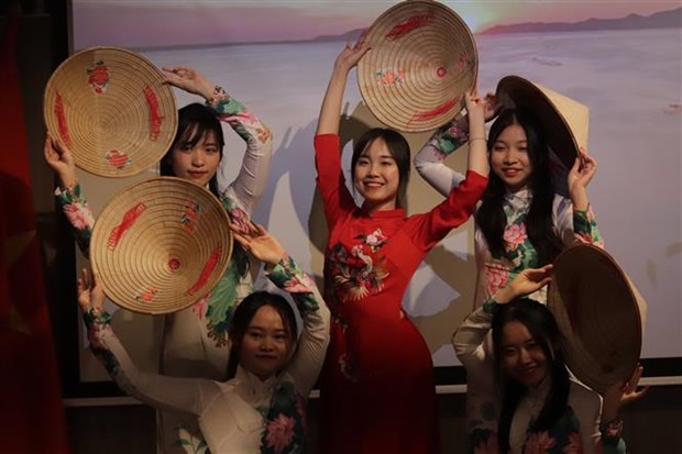 Celebran Semana de la Cultura vietnamita en Hungria hinh anh 1