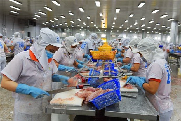 Estados Unidos mantiene tasa del impuesto antidumping para pescados vietnamitas hinh anh 1