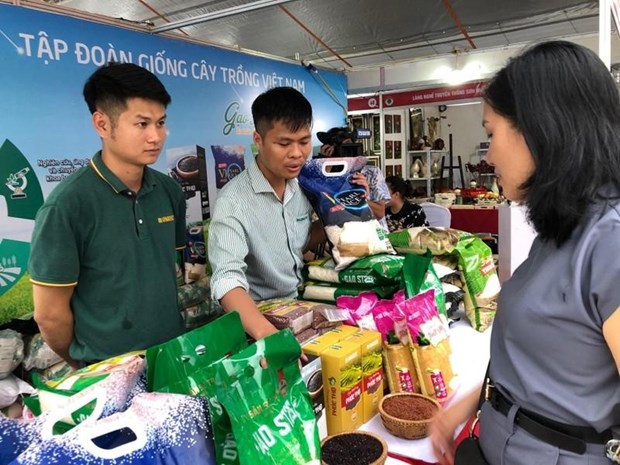 Lanzan en Hanoi Semana de Productos nacionales hinh anh 1