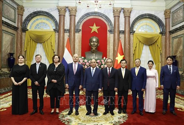 Presidente vietnamita recibe a embajadores de Paises Bajos, Hungria, Australia y Luxemburgo hinh anh 1