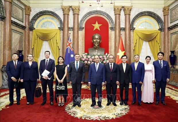 Presidente vietnamita recibe a embajadores de Paises Bajos, Hungria, Australia y Luxemburgo hinh anh 3