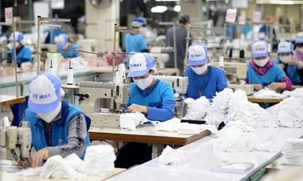 Buscan desarrollar un mercado laboral flexible, sostenible, integrado y eficiente en Vietnam hinh anh 1