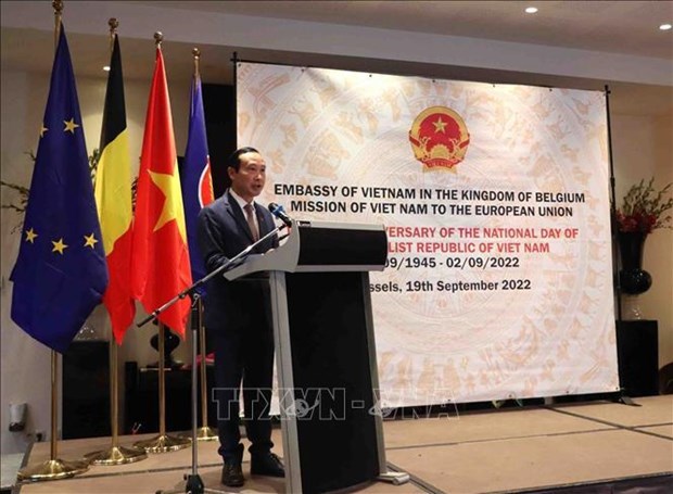 Relaciones de Vietnam con Belgica y UE ahora estan en su mejor momento, afirma embajador hinh anh 1