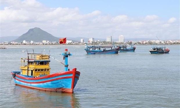 Localidades vietnamitas se esfuerzan por combatir la pesca ilegal en aguas extranjeras hinh anh 1