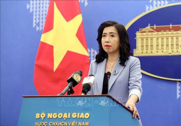Vietnam persiste en proteger y promover derechos basicos humanos hinh anh 1