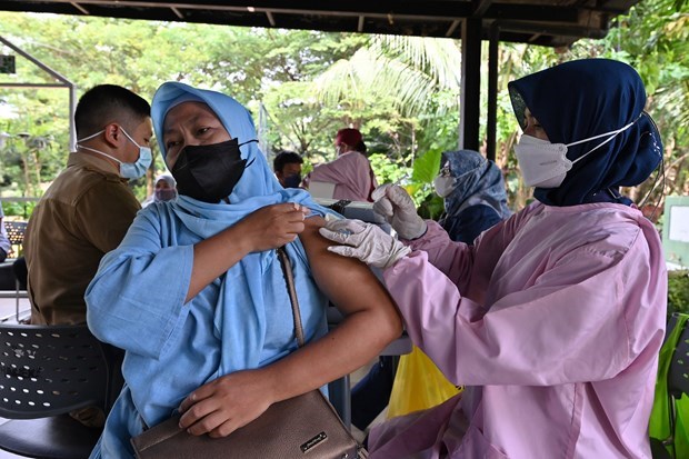 Indonesia se suma a la red mundial de vacunas hinh anh 1
