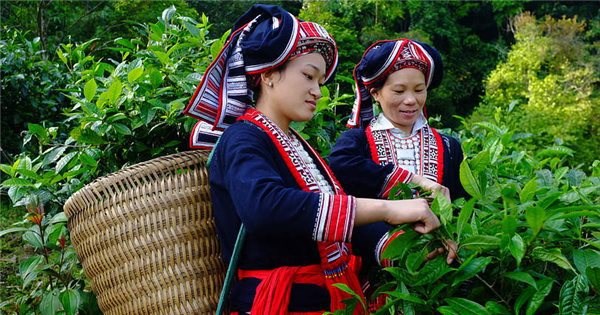 Promueven empoderamiento economico de mujeres de minorias etnicas en Vietnam hinh anh 1