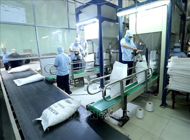 Exportaciones de arroz de Vietnam superan meta trazada hinh anh 2