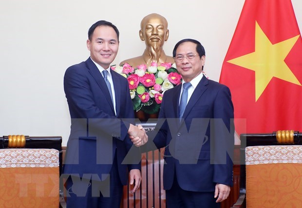 Vietnam y Mongolia realizan decima reunion de consulta politica hinh anh 1