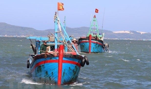 Vietnam refuerza lucha contra pesca ilegal, no declarada y no reglamentada hinh anh 1