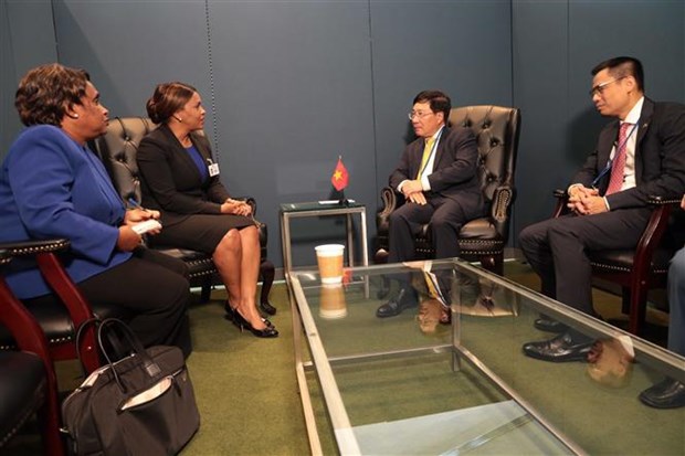 Vietnam fortalece cooperacion bilateral con Paises Bajos y paises africanos hinh anh 2