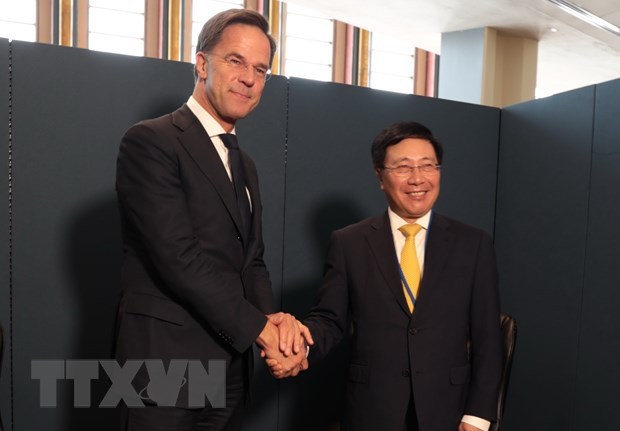 Vietnam fortalece cooperacion bilateral con Paises Bajos y paises africanos hinh anh 1
