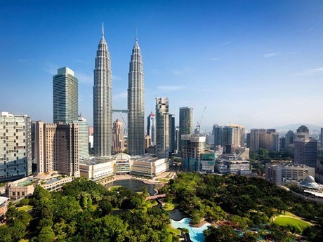 Malasia explora areas potenciales de cooperacion con EAU hinh anh 1
