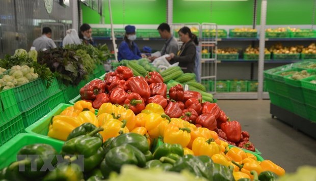 China se mantiene como mayor importador de frutas y verduras vietnamitas hinh anh 1