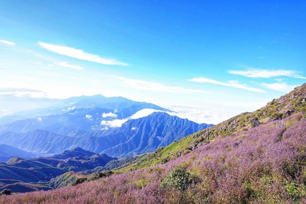 Yen Bai lanza recorridos para conquistar dos de las montanas mas altas de Vietnam hinh anh 2