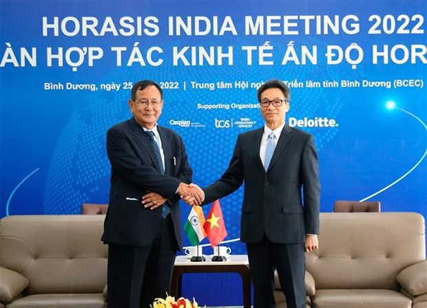 Vicepremier vietnamita resalta nexos con la India hinh anh 1
