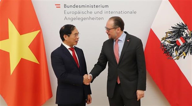 Canciller vietnamita realiza visita oficial a Austria hinh anh 1