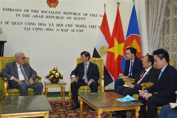 Vietnam y Egipto fortalecen cooperacion multifacetica hinh anh 1