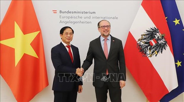 Austria tiene gran interes en fortalecer lazos economicos con Vietnam hinh anh 1