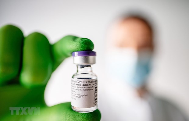 Singapur aprueba vacuna de Pfizer para ninos de 6 meses a 4 anos hinh anh 1