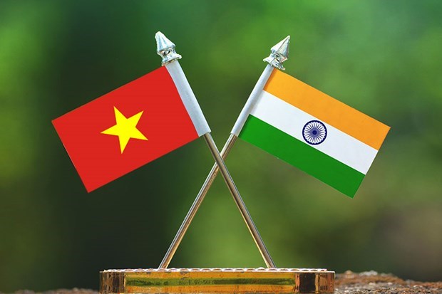 Celebran en Can Tho 55 aniversario de relaciones diplomaticas entre Vietnam y la India hinh anh 1