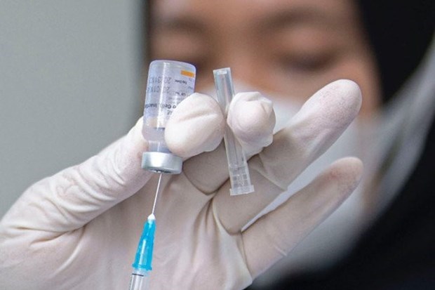 Indonesia autoriza la primera vacuna casera contra la COVID-19 hinh anh 1