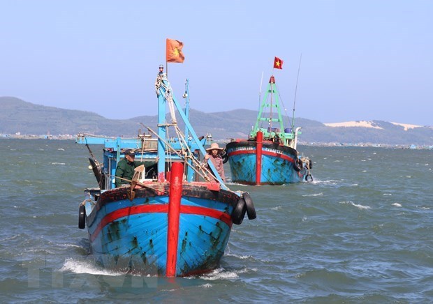 Provincia vietnamita trabaja fuertemente en lucha contra pesca ilegal hinh anh 1
