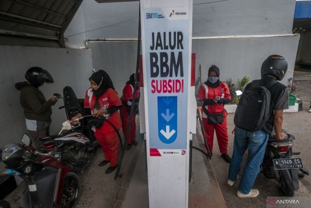 Indonesia aumenta cuotas de combustible subsidiado hinh anh 1