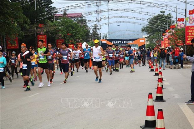 Efectuaran maraton “Correr en camino de Felicidad” en provincia vietnamita hinh anh 1