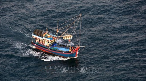 Pagina web tailandesa alaba combate de Vietnam contra la pesca ilegal hinh anh 1