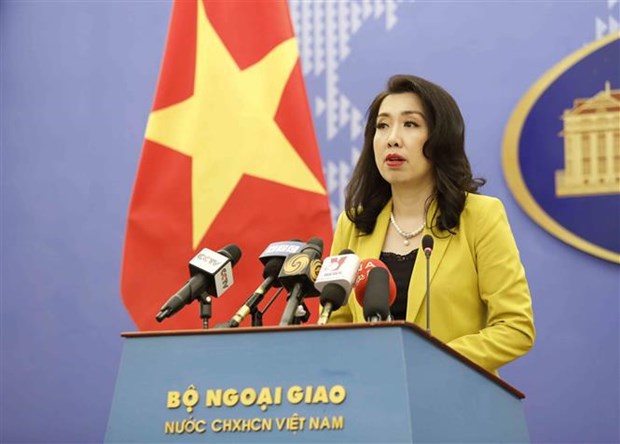 Cancilleria vietnamita da su postura sobre incidentes vinculados con vuelos de repatriacion hinh anh 1