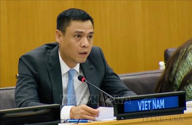 Nueva representante de PNUD promete respaldar desarrollo de Vietnam hinh anh 2