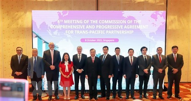 Vietnam asiste a la reunion de Comision de CPTPP en Singapur hinh anh 1