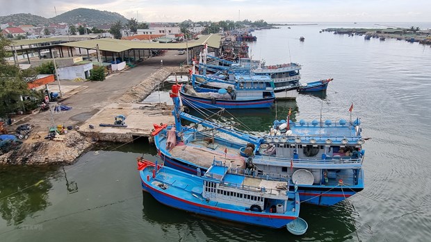 Provincia vietnamita maneja estrictamente actividades de pesca ilegal hinh anh 1