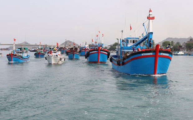 Provincia vietnamita invierte en infraestructura de puerto pesquero hinh anh 1