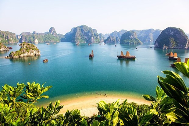 Vietnam figura entre destinos mas buscados por turistas australianos hinh anh 1