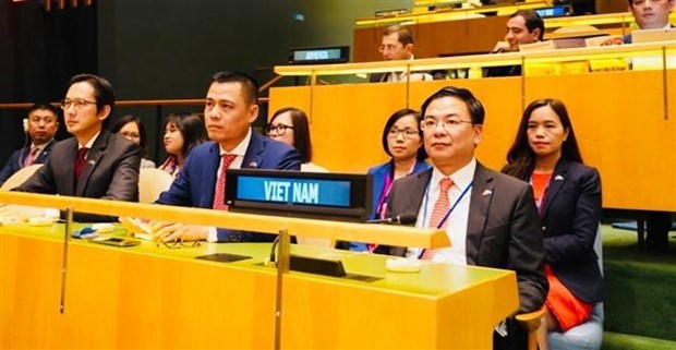 Vietnam se unira a comunidad internacional para construir un mundo de paz hinh anh 2