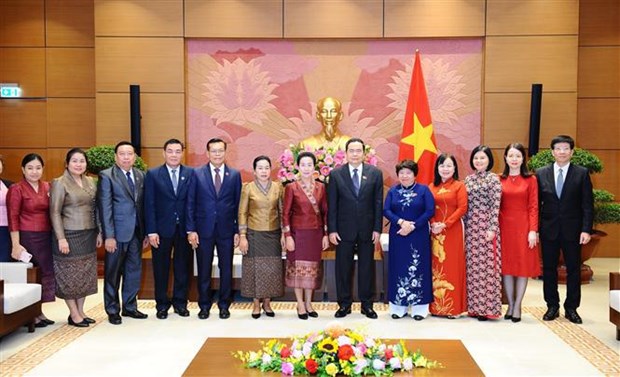 Parlamentos vietnamitas y laosianas comparten experiencias en asuntos sociales hinh anh 1