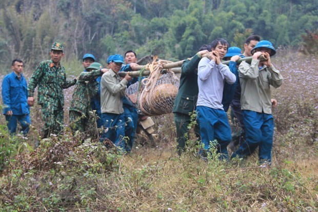 Desactivan con exito bomba hallada en provincia vietnamita hinh anh 1