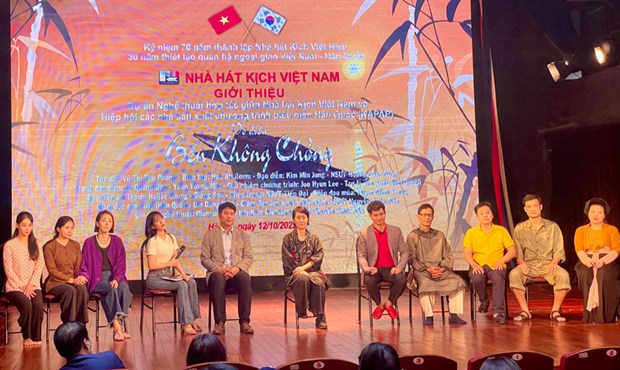 Promueven drama teatral de Vietnam entre publico internacional hinh anh 1