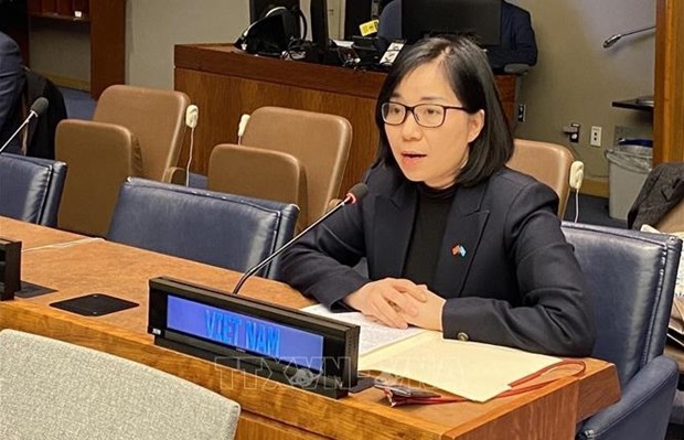 Vietnam resalta ante ONU importancia de descolonizacion hinh anh 1