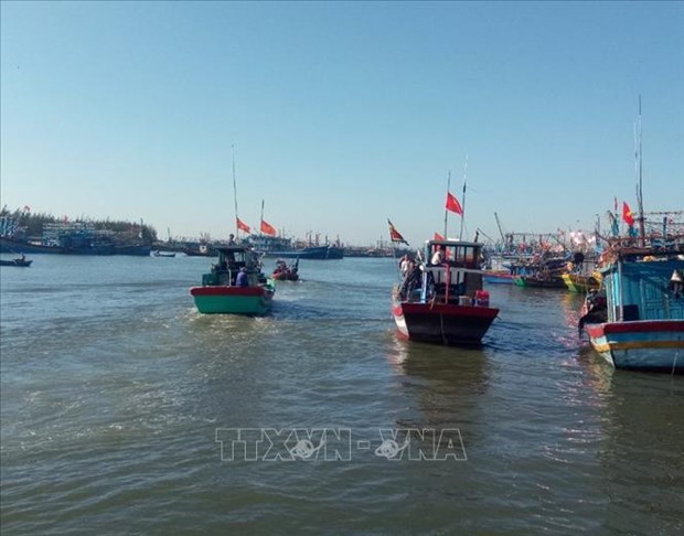 Provincia vietnamita de Ba Ria-Vung Tau refuerza lucha contra pesca ilegal hinh anh 1