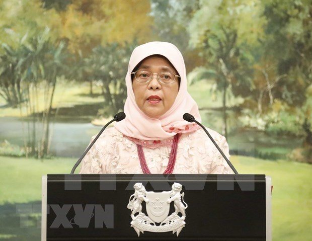 Visita estatal de presidenta de Singapur busca fomentar lazos con Vietnam hinh anh 1