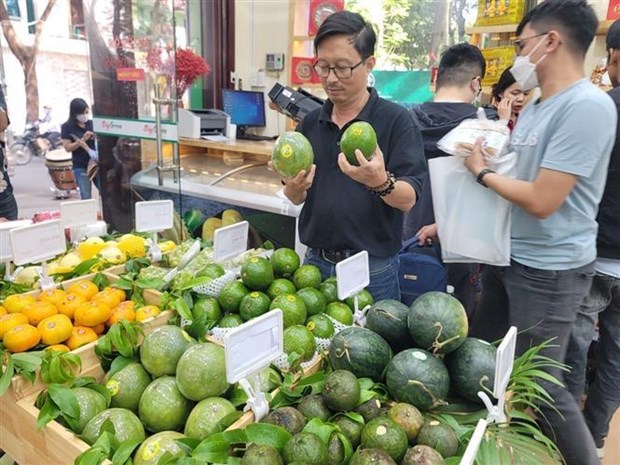 Inauguran una serie de puntos de venta de productos OCOP en Hanoi hinh anh 1