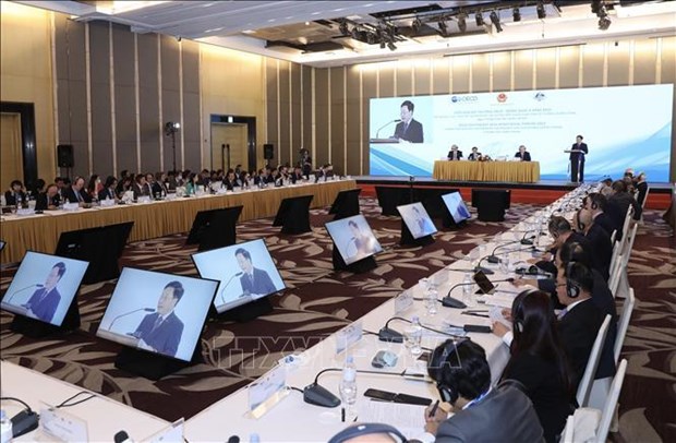 Vietnam promete contribuir a nexos entre OCDE y el Sudeste Asiatico hinh anh 2