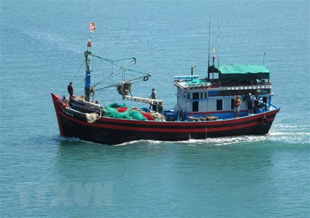 Localidades costeras de Vietnam ven mejores resultados en lucha contra pesca ilegal hinh anh 1